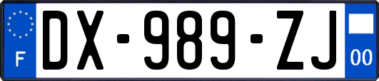 DX-989-ZJ