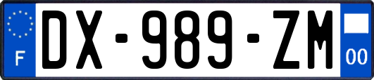 DX-989-ZM