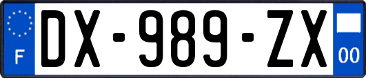 DX-989-ZX