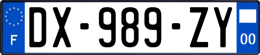 DX-989-ZY