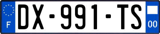 DX-991-TS