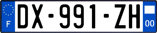 DX-991-ZH