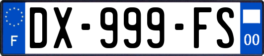 DX-999-FS