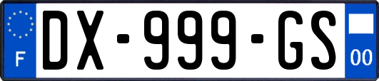 DX-999-GS