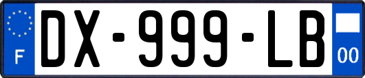 DX-999-LB
