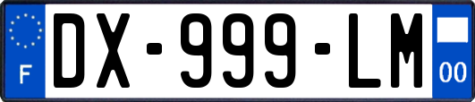 DX-999-LM