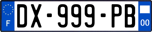 DX-999-PB