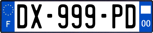 DX-999-PD