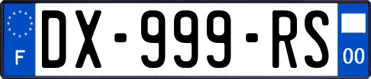 DX-999-RS