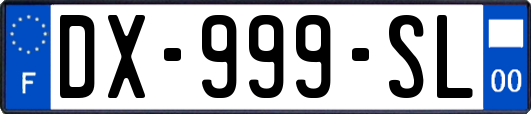 DX-999-SL