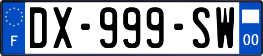 DX-999-SW