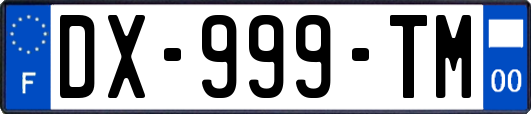 DX-999-TM