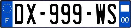 DX-999-WS