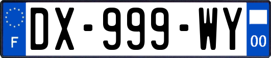 DX-999-WY