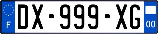 DX-999-XG