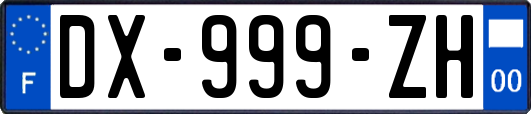 DX-999-ZH