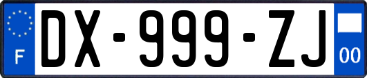 DX-999-ZJ