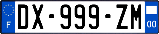 DX-999-ZM