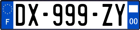 DX-999-ZY