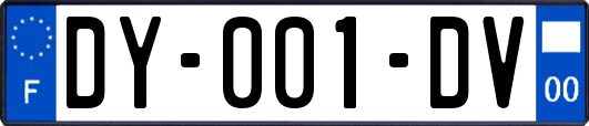 DY-001-DV