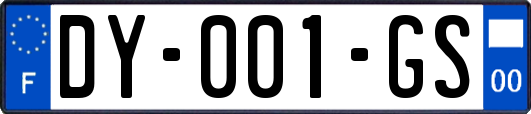 DY-001-GS