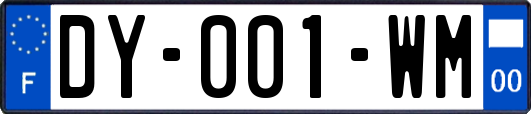 DY-001-WM