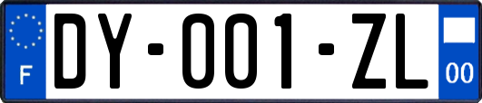 DY-001-ZL