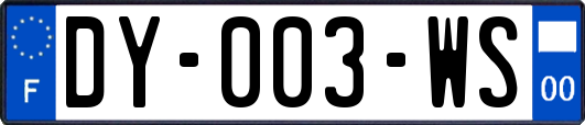 DY-003-WS