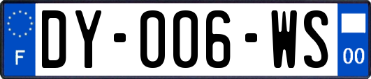 DY-006-WS