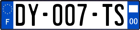 DY-007-TS