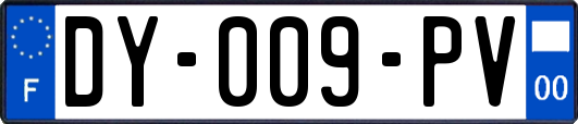 DY-009-PV