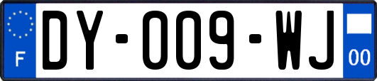 DY-009-WJ