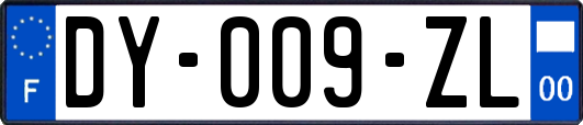 DY-009-ZL