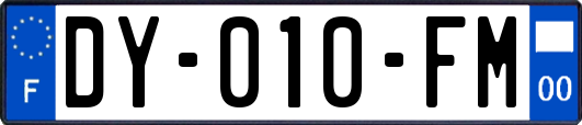 DY-010-FM