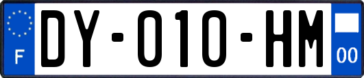 DY-010-HM