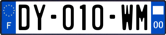 DY-010-WM