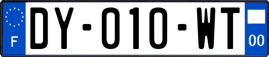 DY-010-WT