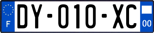 DY-010-XC