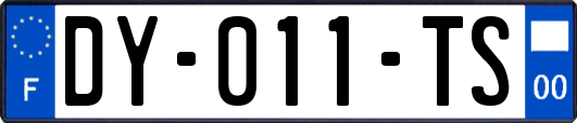 DY-011-TS