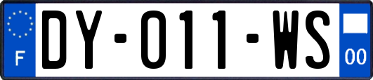 DY-011-WS