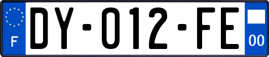 DY-012-FE