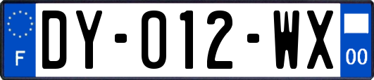 DY-012-WX