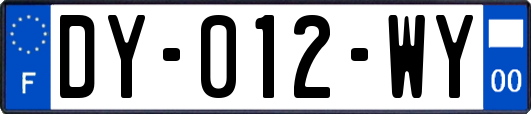 DY-012-WY