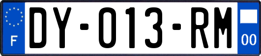 DY-013-RM