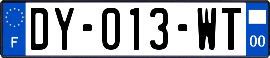 DY-013-WT