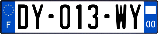 DY-013-WY