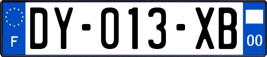 DY-013-XB