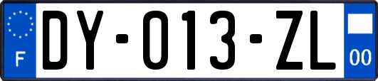 DY-013-ZL