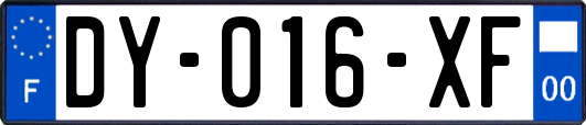 DY-016-XF