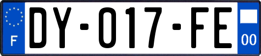 DY-017-FE